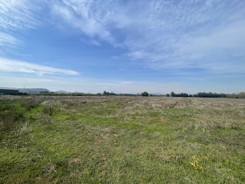 Se Vende Terreno Agrícola de 12 Hectáreas en Sector Mariposa