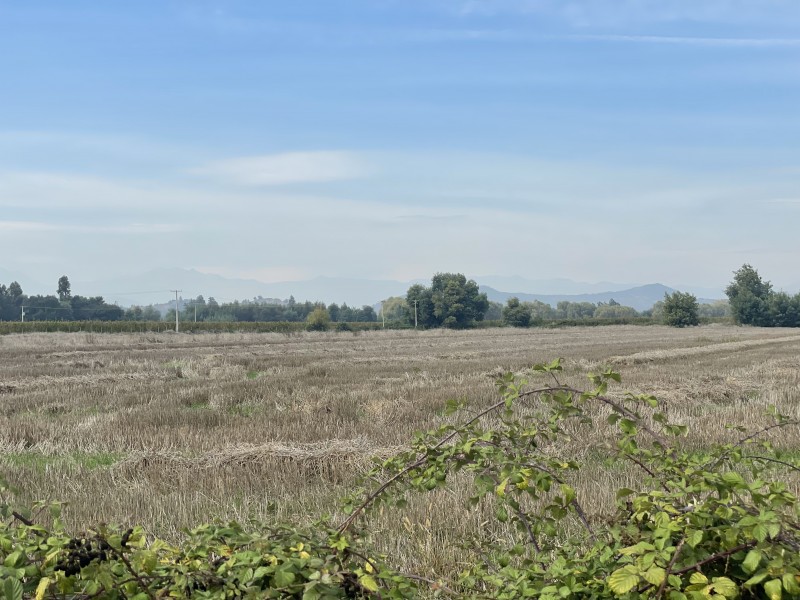 Se Vende Terreno Agrícola de 12 Hectáreas en Sector Mariposa