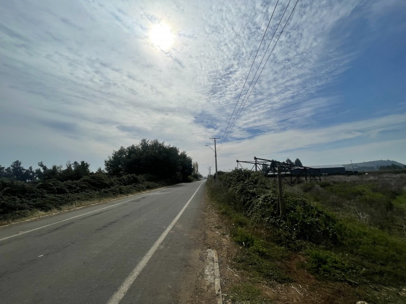 Se Vende Terreno Agrícola de 12 Hectáreas en Sector Mariposa