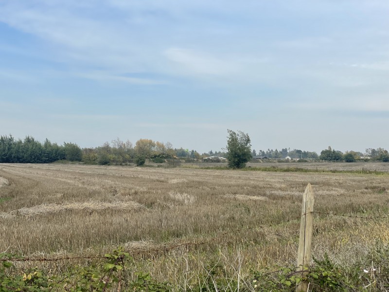 Se Vende Terreno Agrícola de 12 Hectáreas en Sector Mariposa