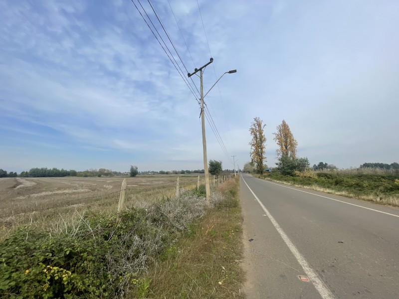 Se Vende Terreno Agrícola de 12 Hectáreas en Sector Mariposa