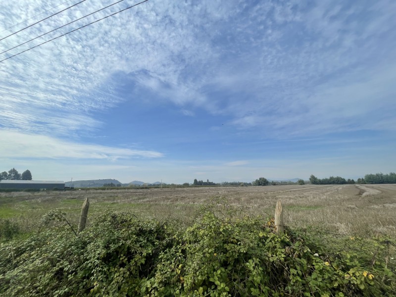 Se Vende Terreno Agrícola de 12 Hectáreas en Sector Mariposa