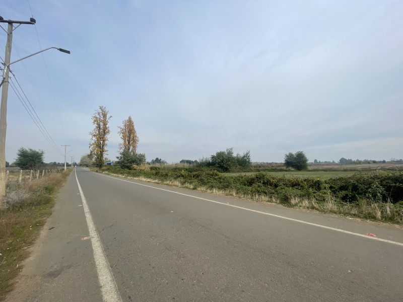 Se Vende Terreno Agrícola de 12 Hectáreas en Sector Mariposa