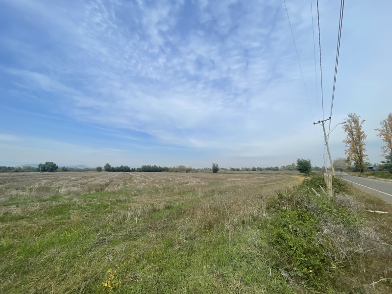 Se Vende Terreno Agrícola de 12 Hectáreas en Sector Mariposa