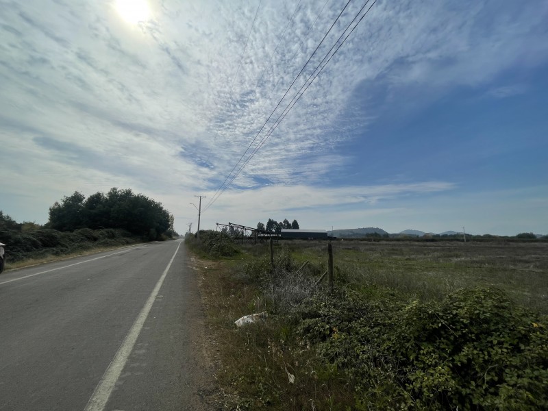 Se Vende Terreno Agrícola de 12 Hectáreas en Sector Mariposa