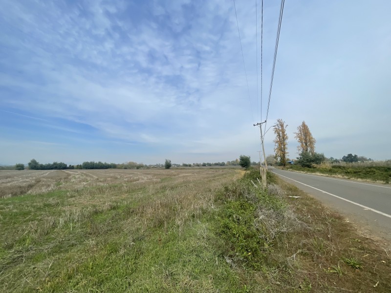 Se Vende Terreno Agrícola de 12 Hectáreas en Sector Mariposa