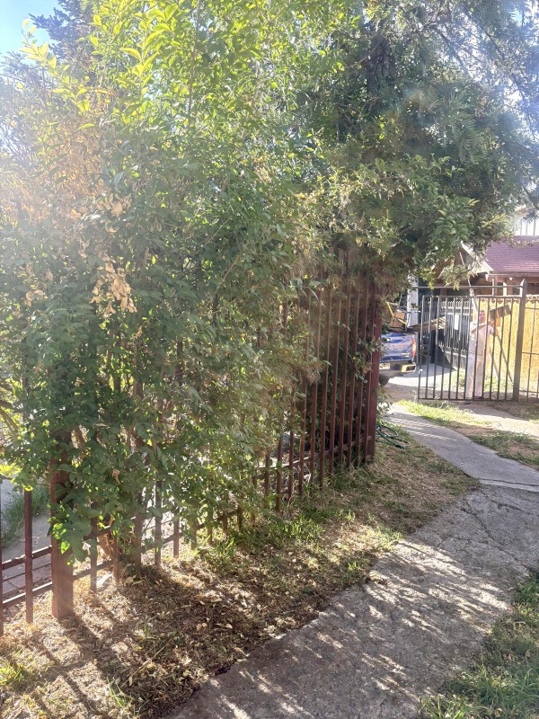 Se Arrienda Casa de 2 Dorm. Sector Galilea, Curico.