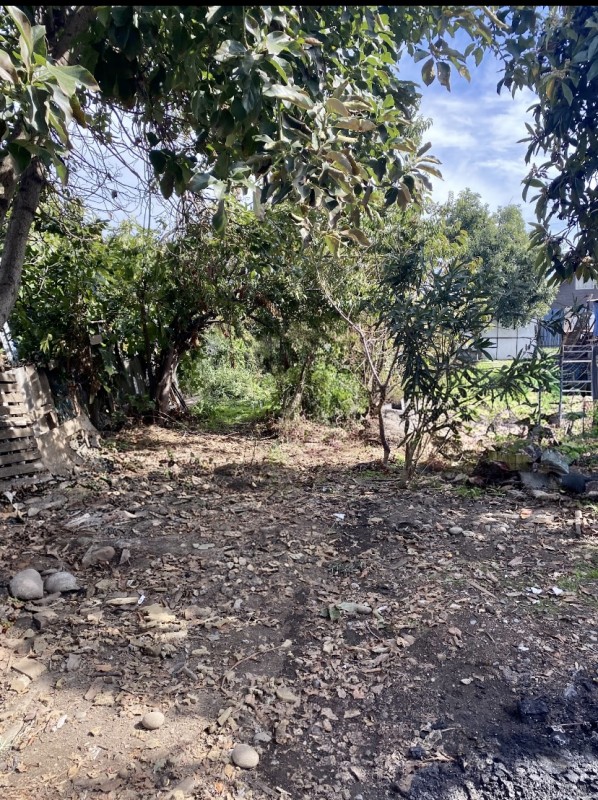 Oportunidad de Inversión, Casa Con Amplio Sitio en Romeral