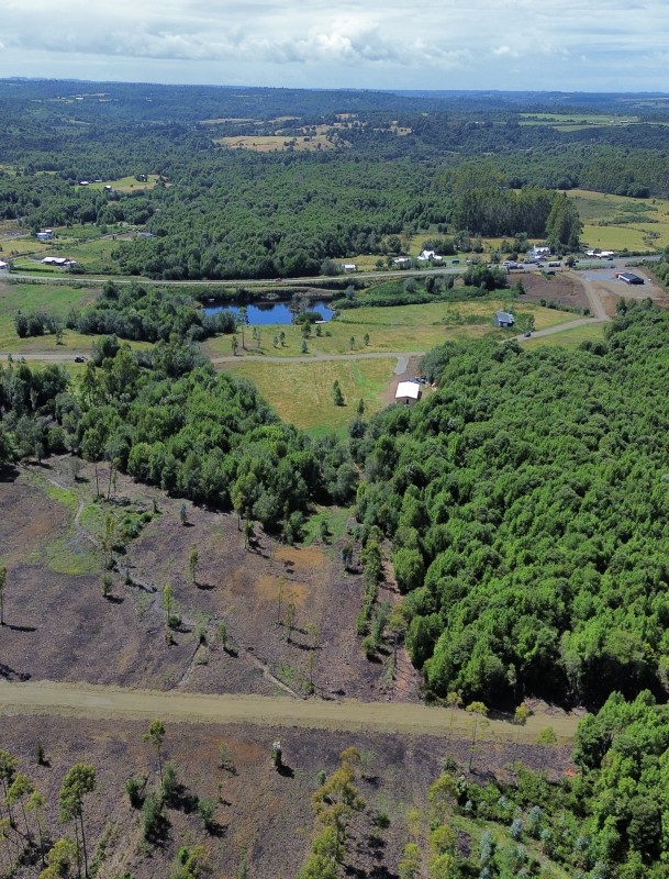 en Venta Parcelas en Ancud Chiloé!