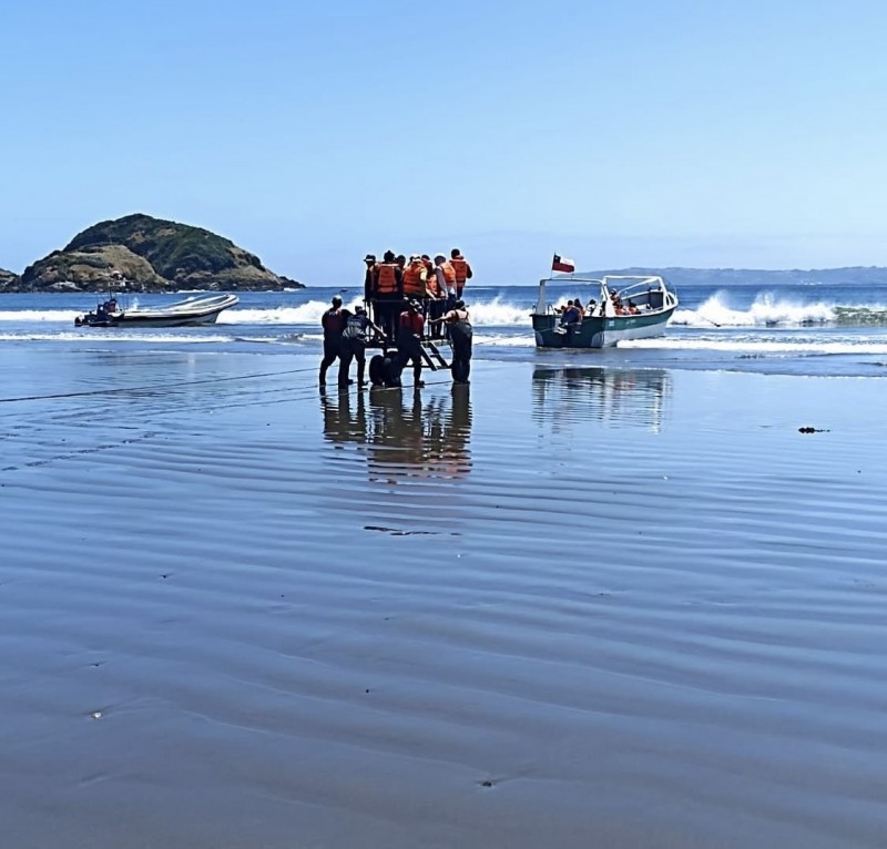 en Venta 2,3 Hectáreas Con Vista Al Mar en Chiloe!