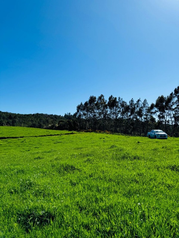 en Venta Parcelas en Ancud, Chiloe!