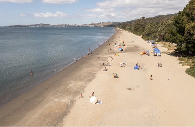 en Venta Parcelas en Ancud Chiloé!