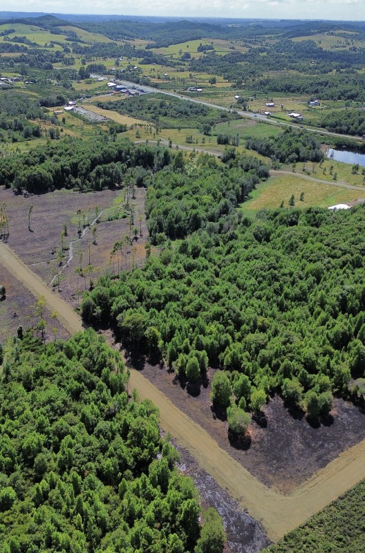 en Venta Parcelas en Ancud Chiloé!