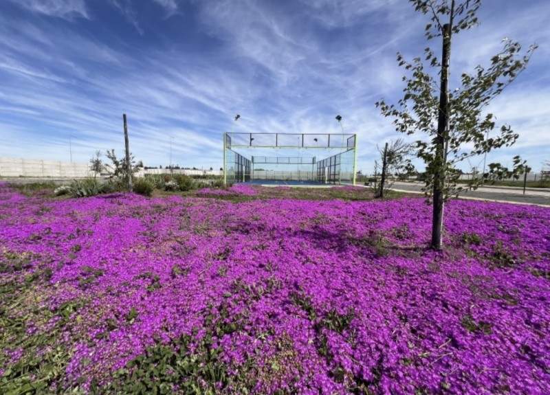 Se Vende Sitio en Condominio Reserva las Rastras Talca!