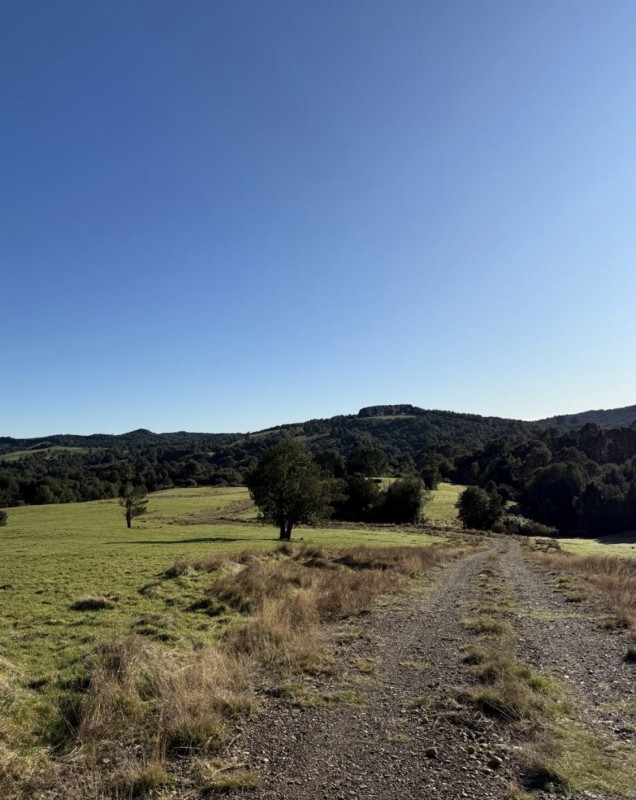 en Venta Parcelas en Ancud Chiloé!