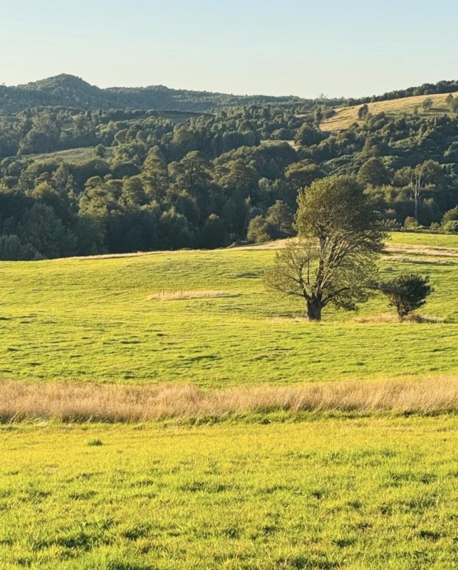 en Venta Parcelas en Ancud Chiloé!
