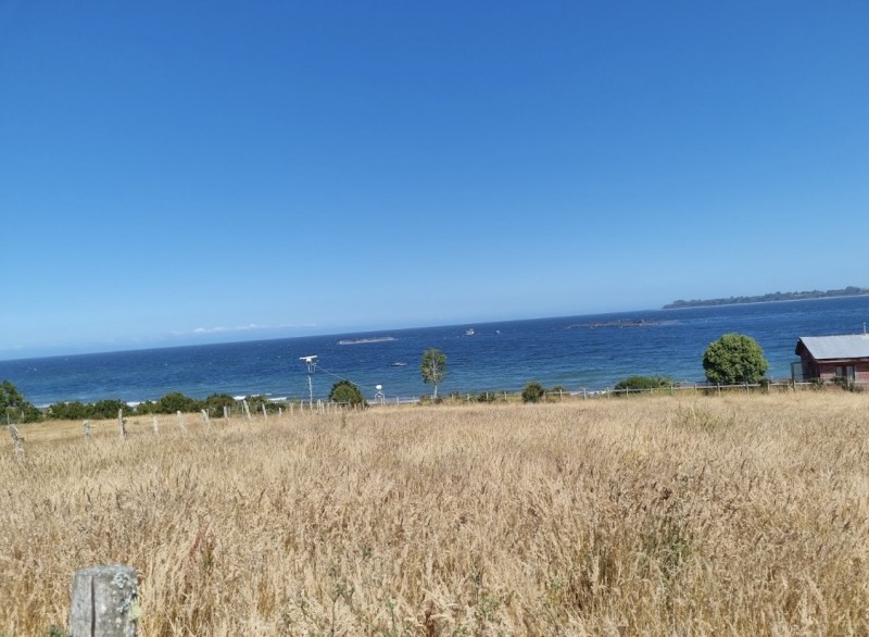 en Venta 2,3 Hectáreas Con Vista Al Mar en Chiloe!