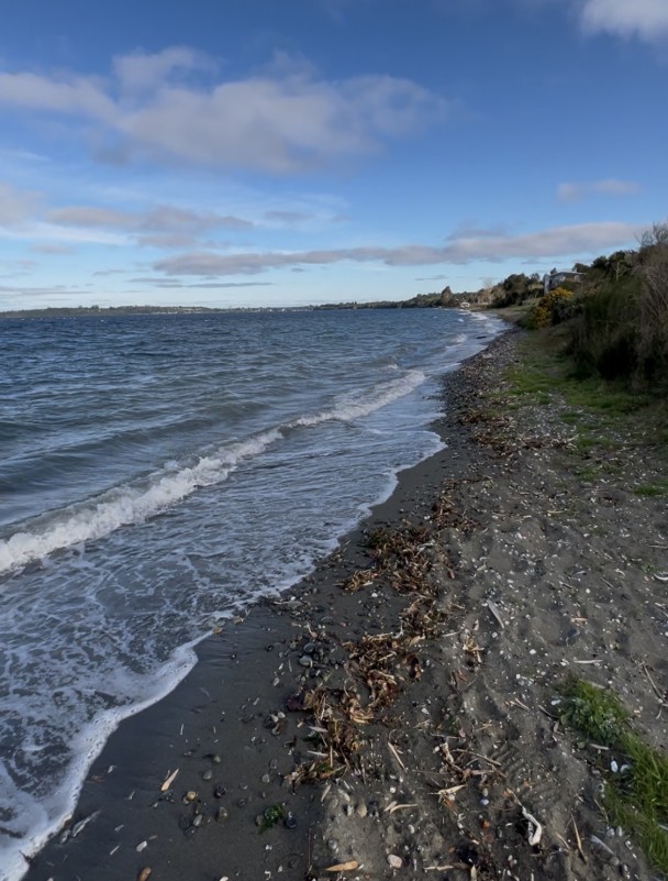 en Venta 2,3 Hectáreas Con Vista Al Mar en Chiloe!