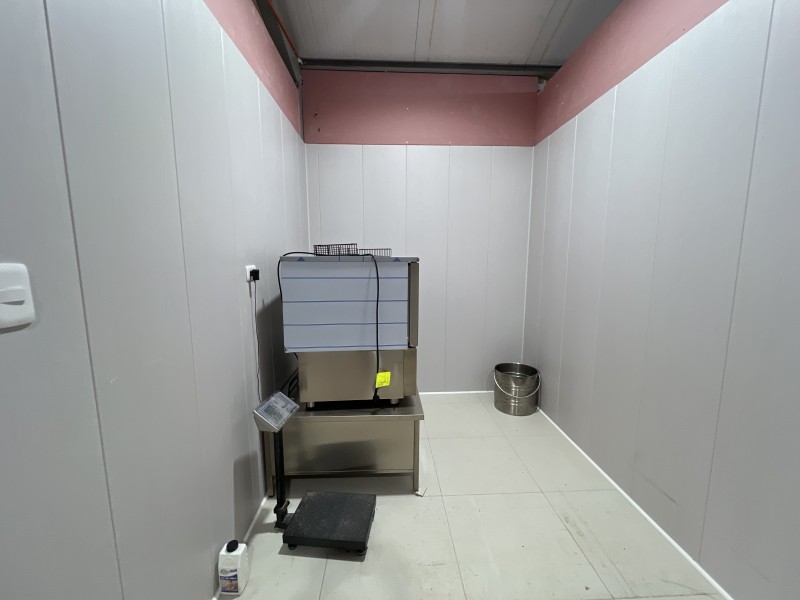 en Venta 4 Hás Plantación de Nogal de 5 Años, Pencahue!!