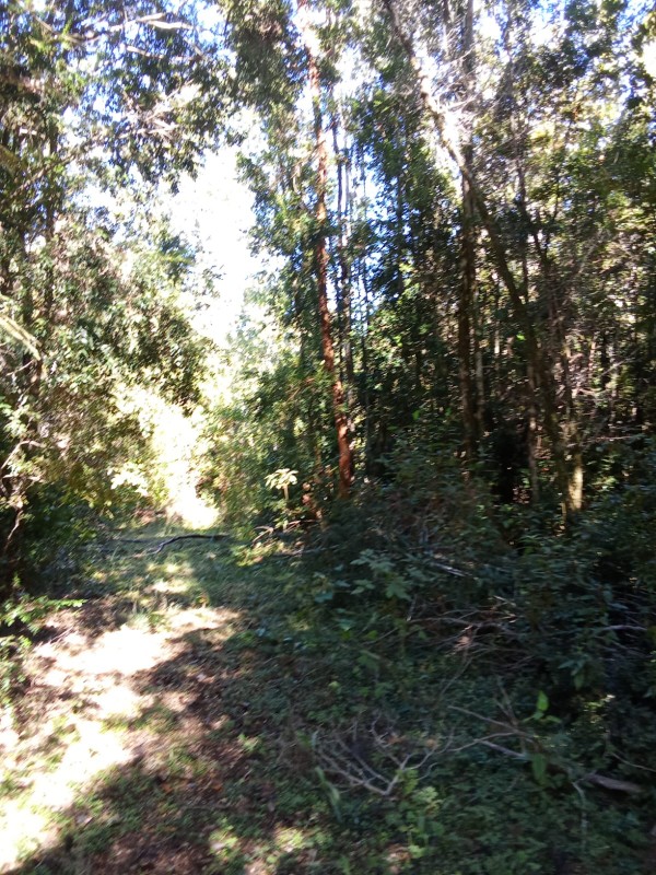 en Venta 57,4 Hectáreas en Región de los Lagos!