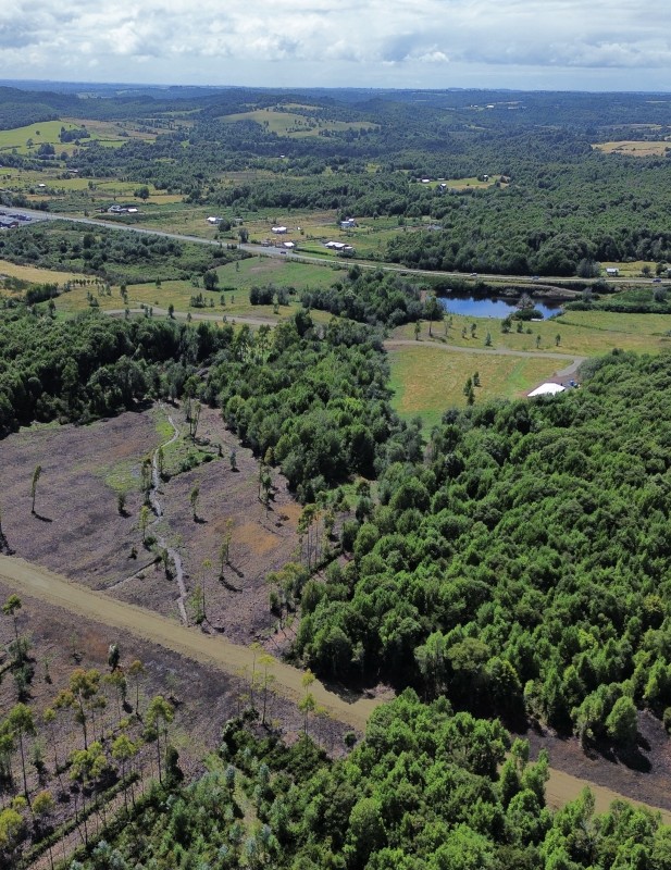 en Venta Parcelas en Ancud Chiloé!