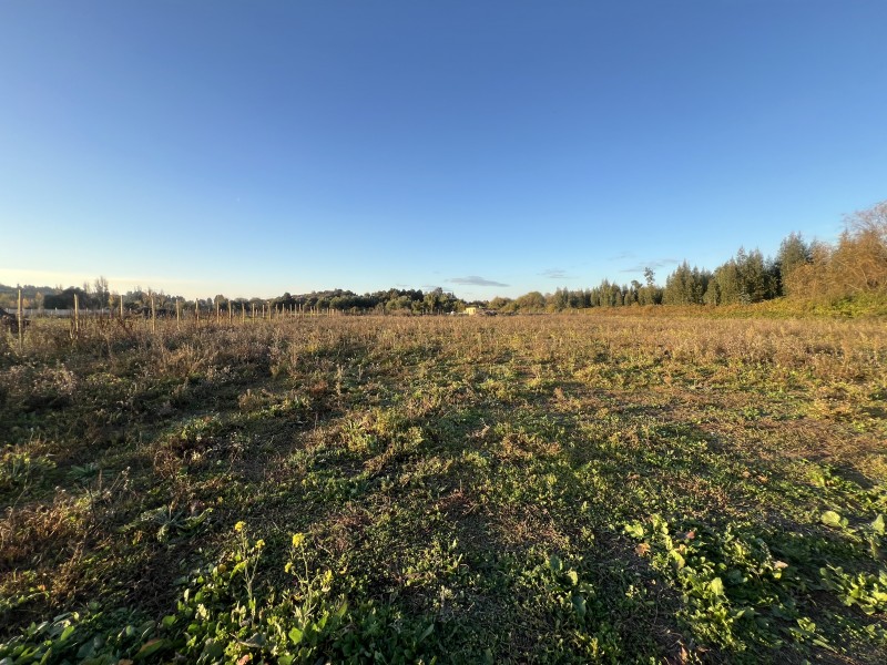 en Venta Parcela Fundó Esperanza Talca!
