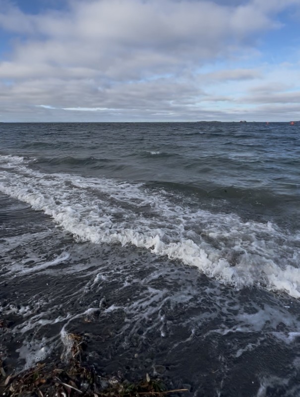 en Venta 2,3 Hectáreas Con Vista Al Mar en Chiloe!