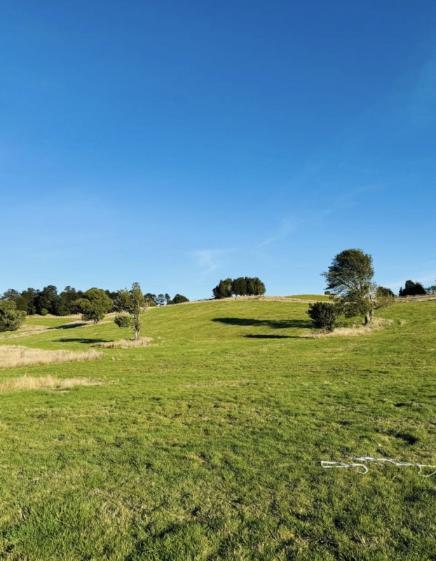 en Venta Parcelas en Ancud Chiloé!