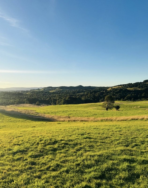 en Venta Parcelas en Ancud Chiloé!