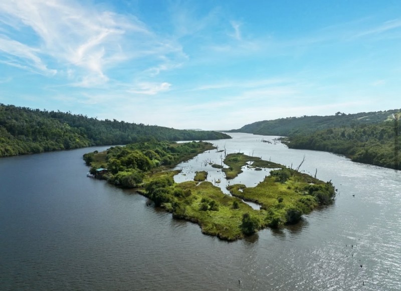 en Venta Parcelas en Ancud Chiloé!