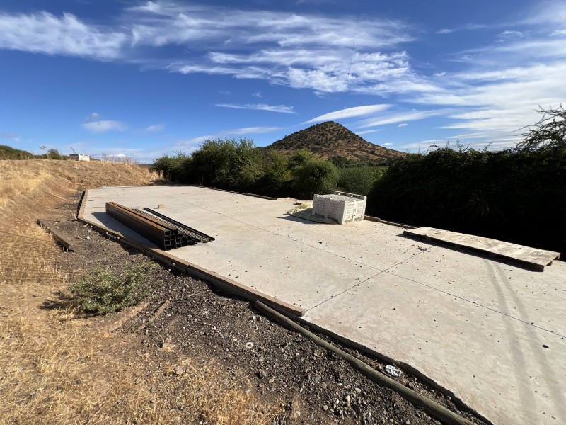 en Venta 4 Hás Plantación de Nogal de 5 Años, Pencahue!!