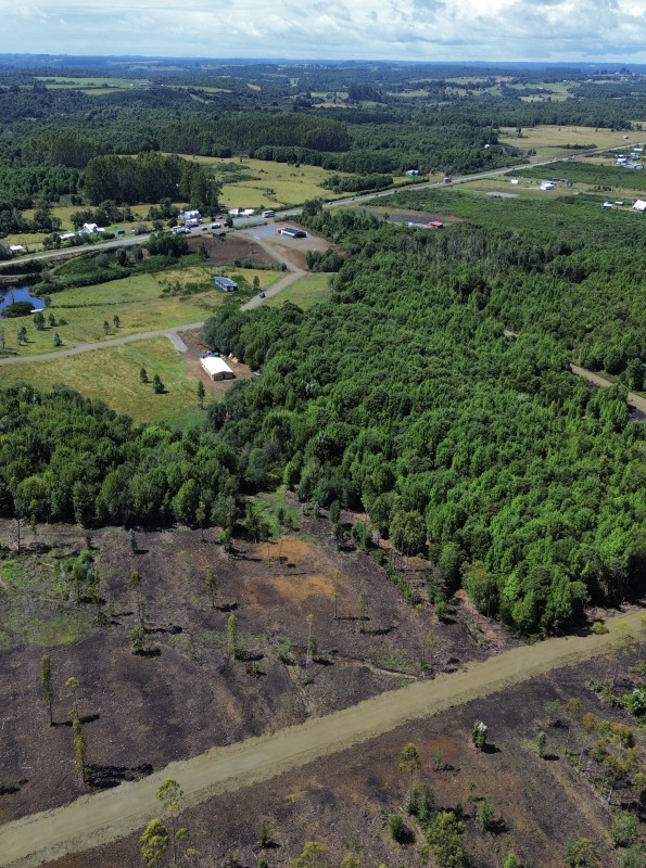 en Venta Parcelas en Ancud Chiloé!