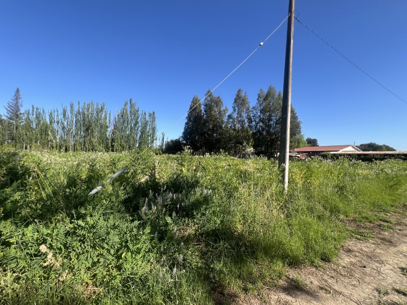 en Venta Parcela de 5.000 Mt2 Puertas Negras Talca!