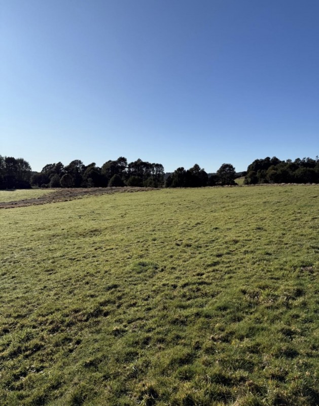 en Venta Parcelas en Ancud Chiloé!