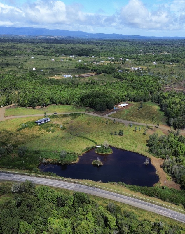 en Venta Parcelas en Ancud Chiloé!