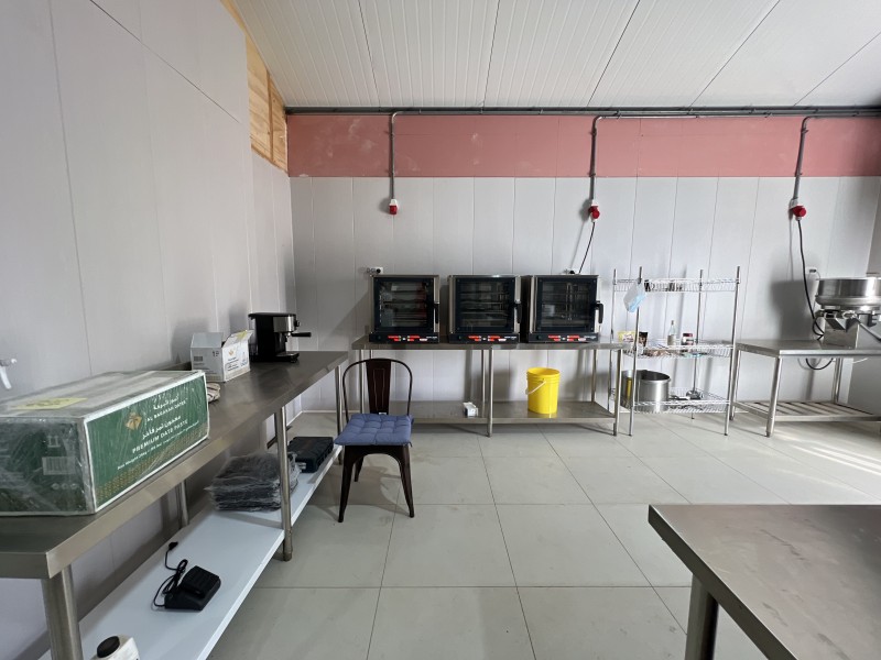 en Venta 4 Hás Plantación de Nogal de 5 Años, Pencahue!!