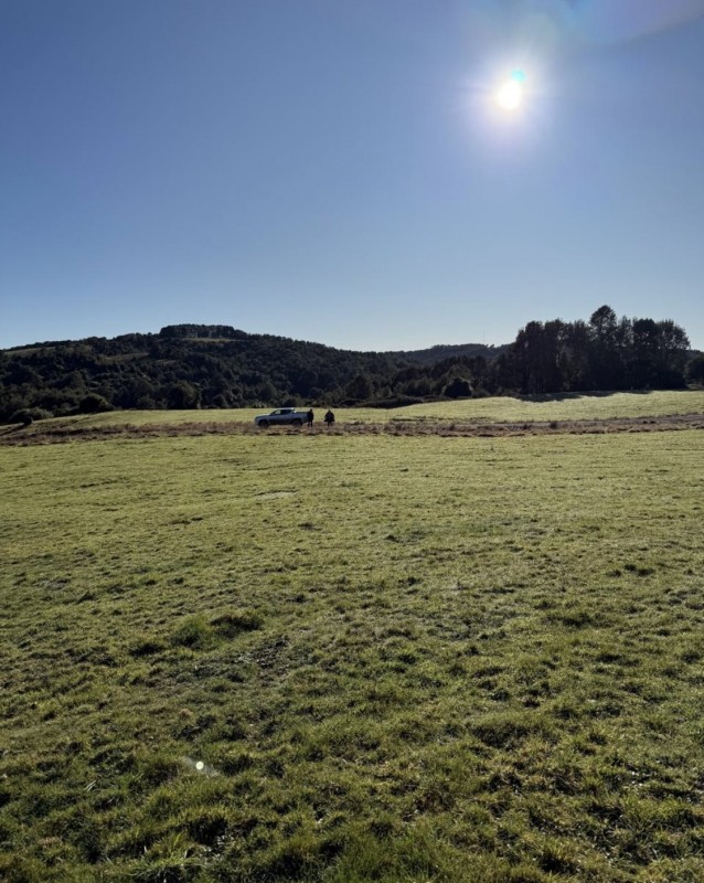 en Venta Parcelas en Ancud Chiloé!