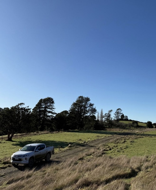 en Venta Parcelas en Ancud Chiloé!