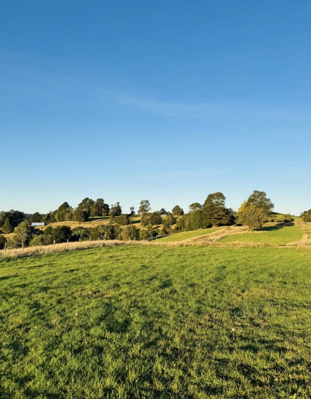 en Venta Parcelas en Ancud Chiloé!