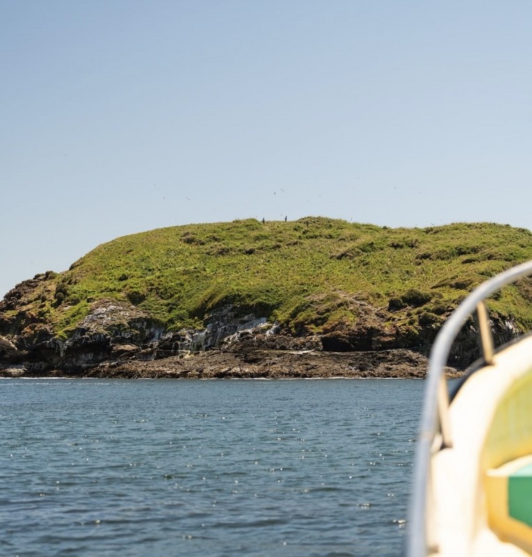 en Venta 2,3 Hectáreas Con Vista Al Mar en Chiloe!