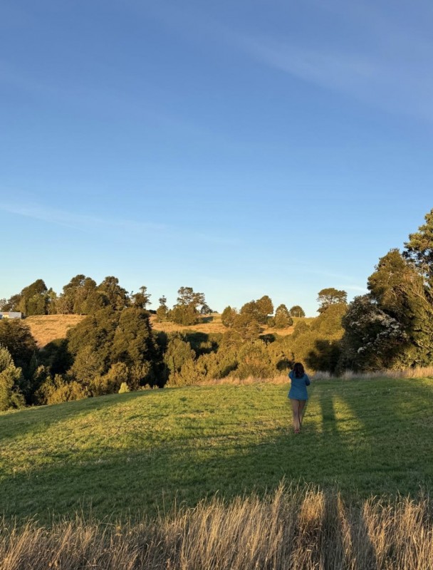 en Venta Parcelas en Ancud Chiloé!