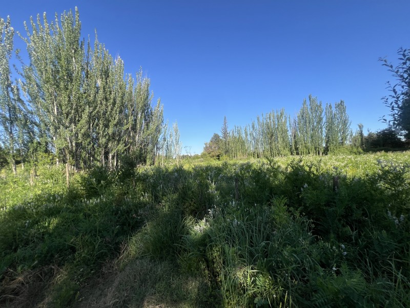 en Venta Parcela de 5.000 Mt2 Puertas Negras Talca!