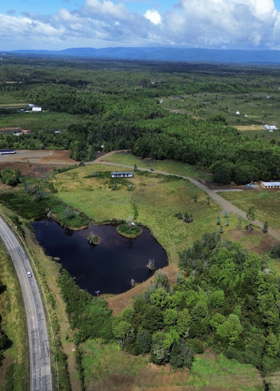 en Venta Parcelas en Ancud Chiloé!