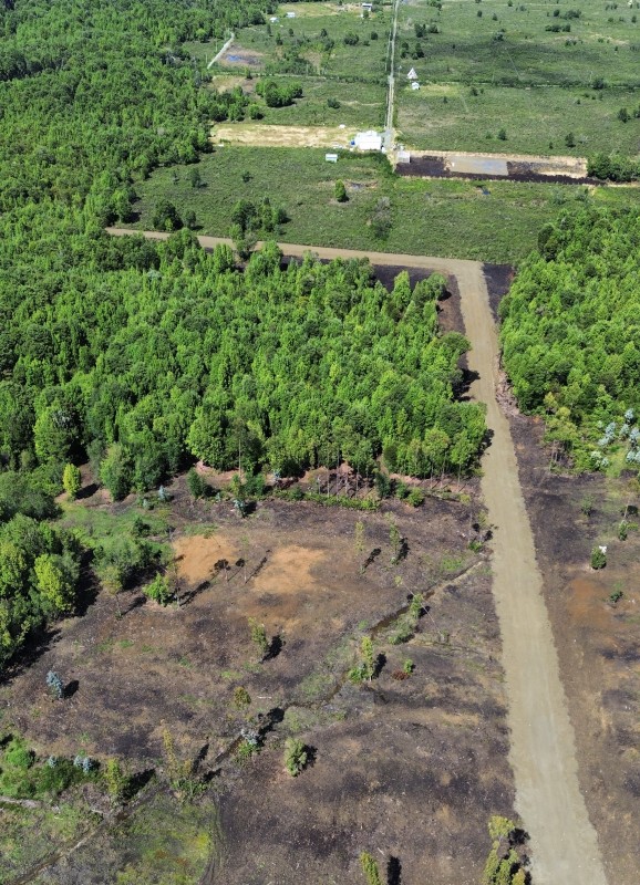 en Venta Parcelas en Ancud Chiloé!