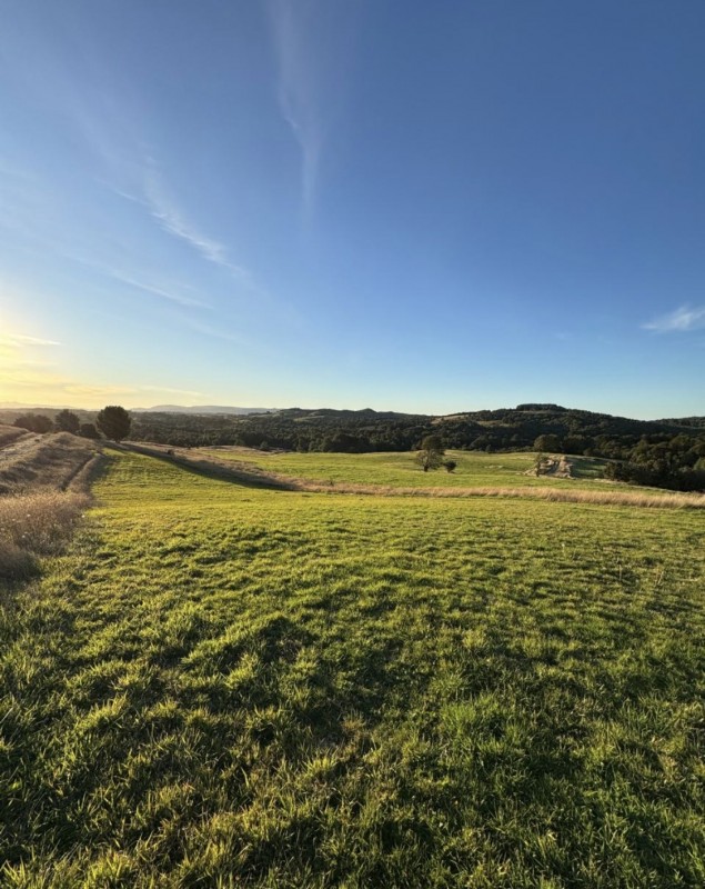 en Venta Parcelas en Ancud Chiloé!