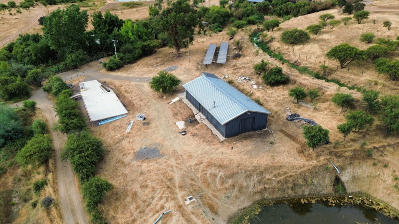 en Venta 4 Hás Plantación de Nogal de 5 Años, Pencahue!!