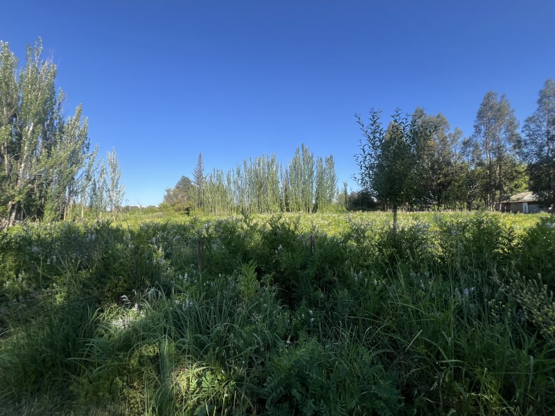 en Venta Parcela de 5.000 Mt2 Puertas Negras Talca!