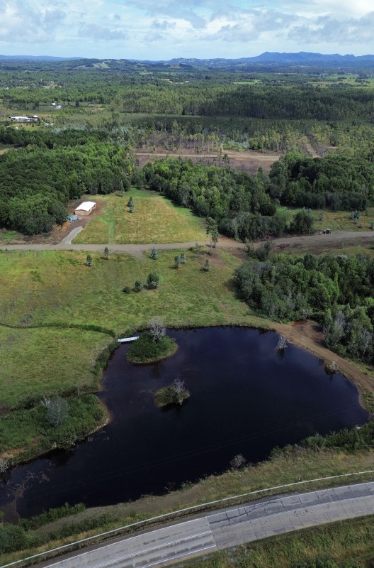 en Venta Parcelas en Ancud Chiloé!