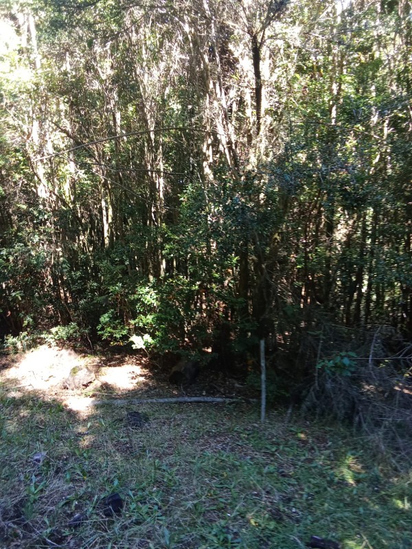 en Venta 57,4 Hectáreas en Región de los Lagos!