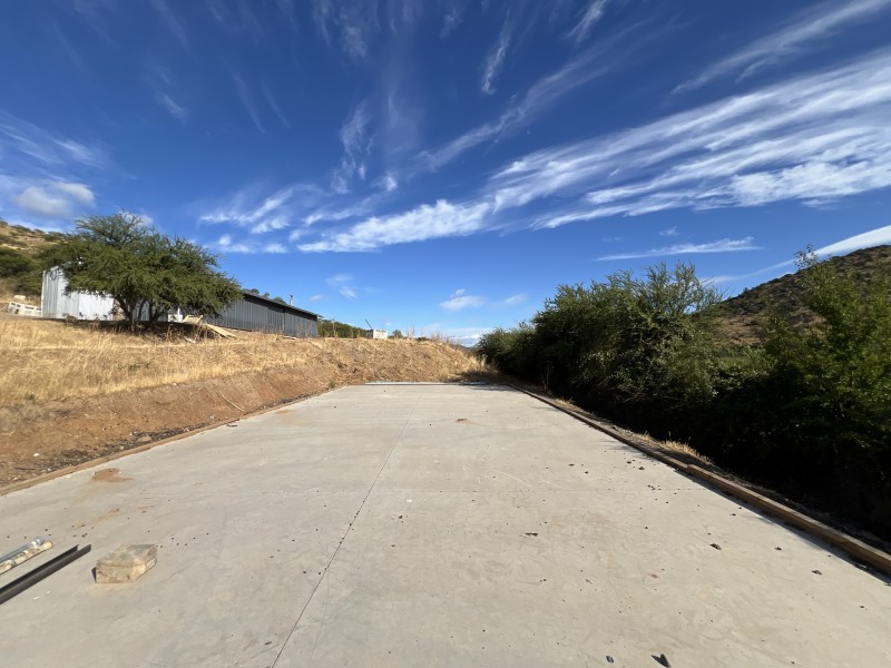 en Venta 4 Hás Plantación de Nogal de 5 Años, Pencahue!!